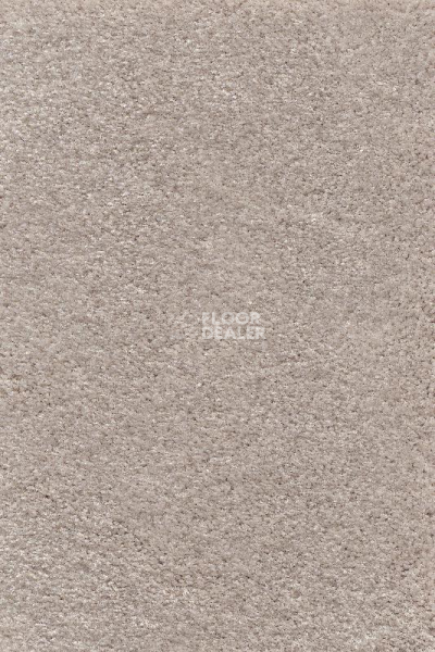 Ковролин AW Masquerade Gaudia 33 фото 1 | FLOORDEALER